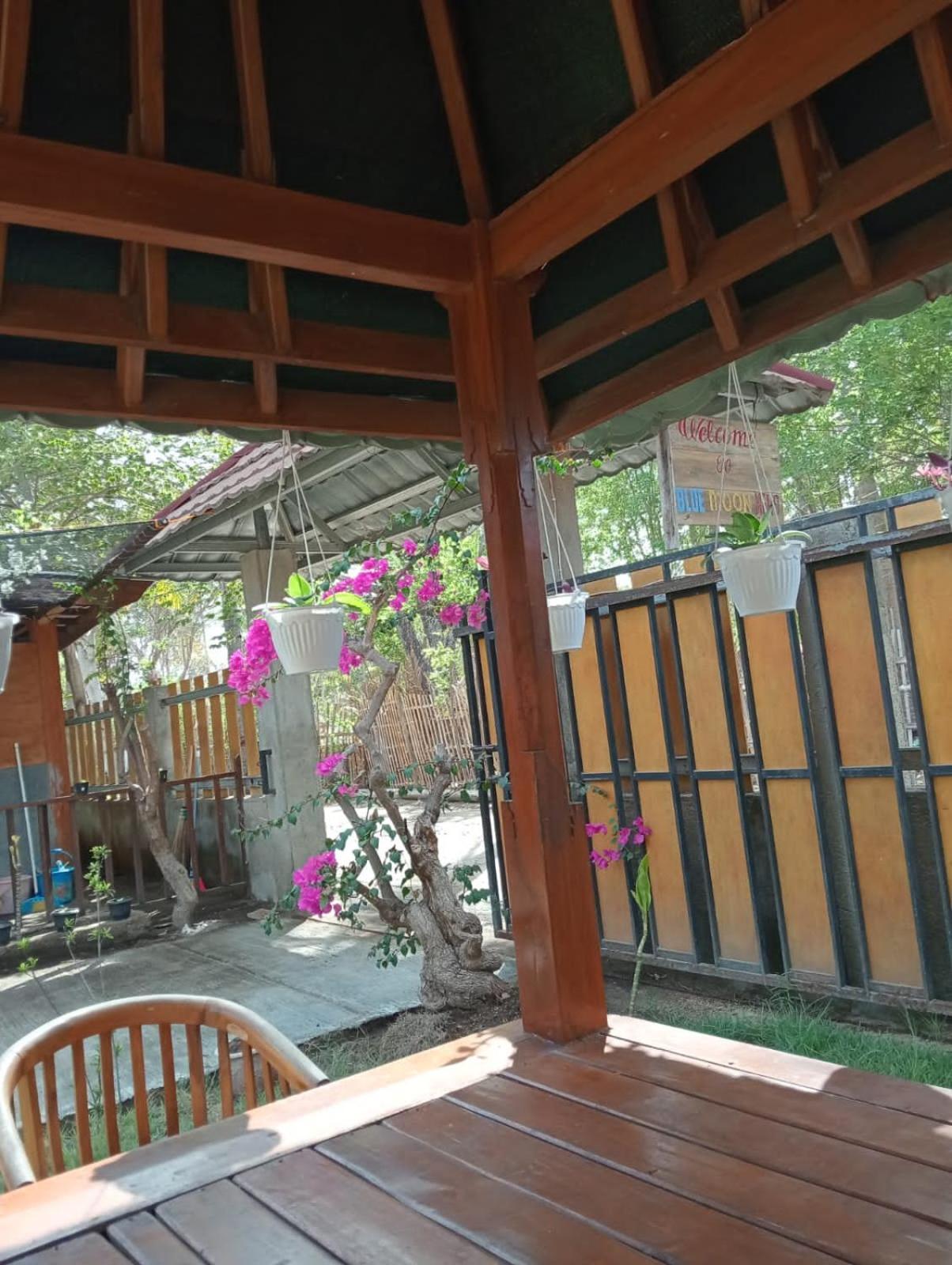 Blue Moon Meno Hotell Gili Meno Eksteriør bilde
