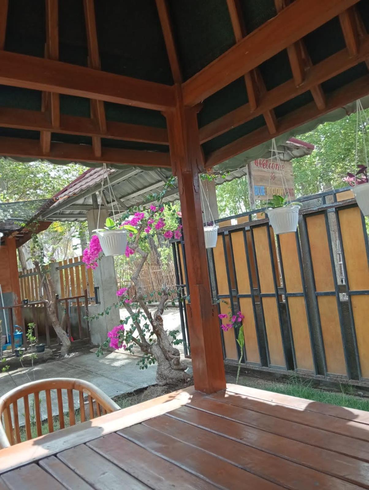 Blue Moon Meno Hotell Gili Meno Eksteriør bilde